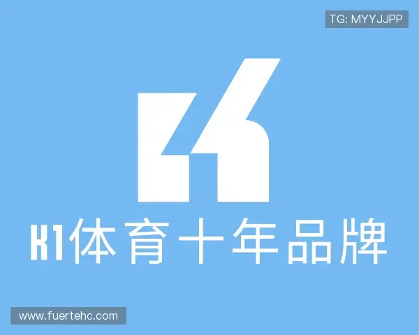 了解K1集团